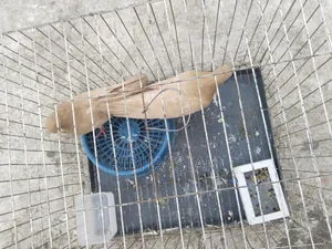 Kubutor for sell