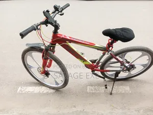 ফিনিক্স সাইকেল