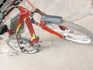 ফিনিক্স সাইকেল