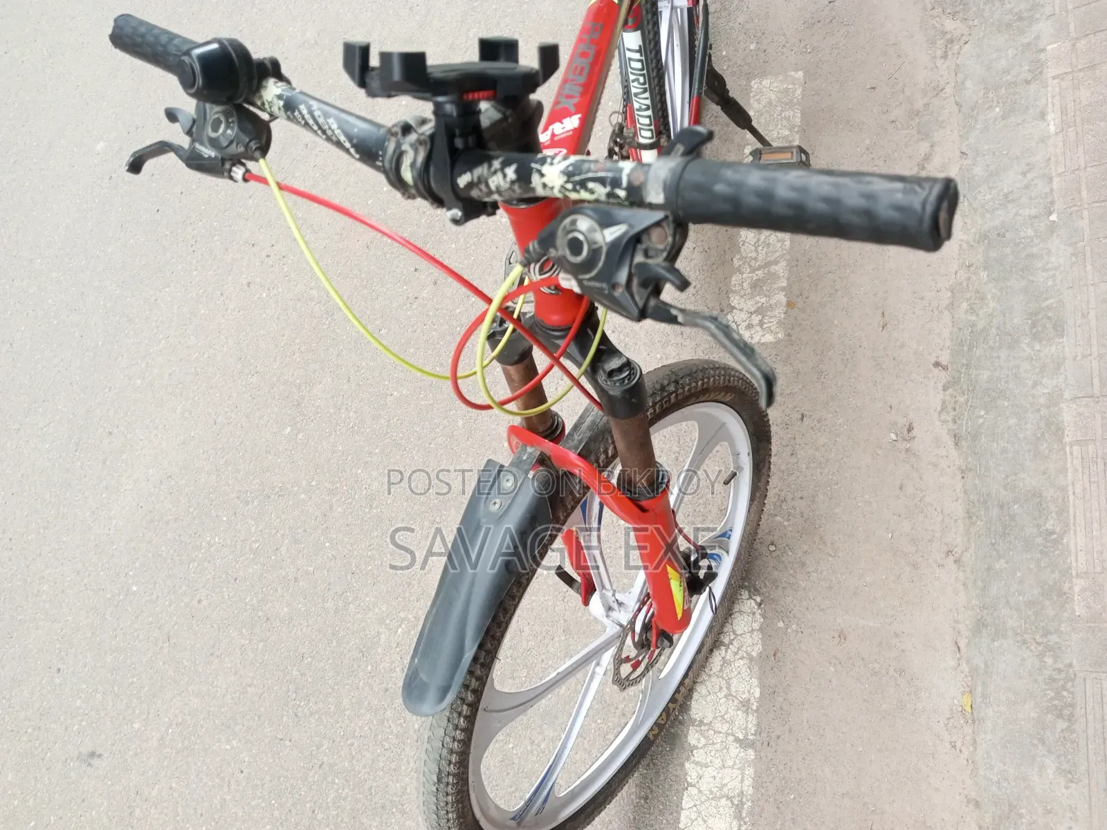 ফিনিক্স সাইকেল