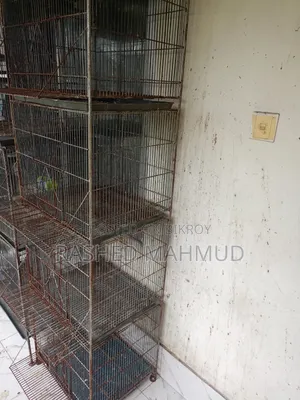 কবুতরের খাঁচা