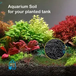 Aquarium Live Plant and Soil and Aquarium Shrimp for Your Tank