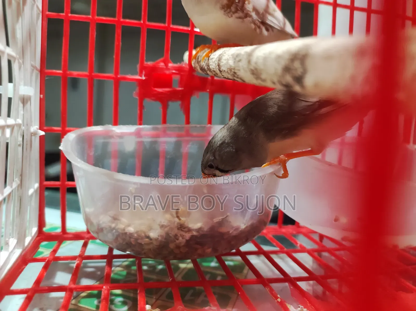 বিক্রি করা হইবে