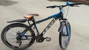 Bicycle for Sale!
