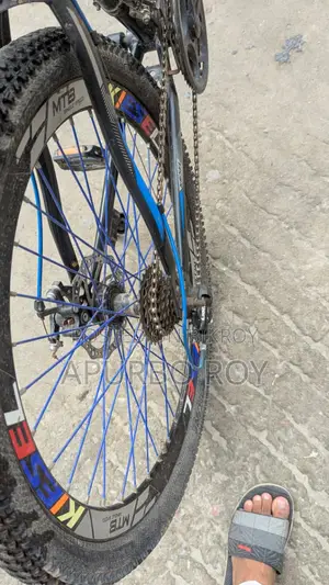 Bicycle for Sale!