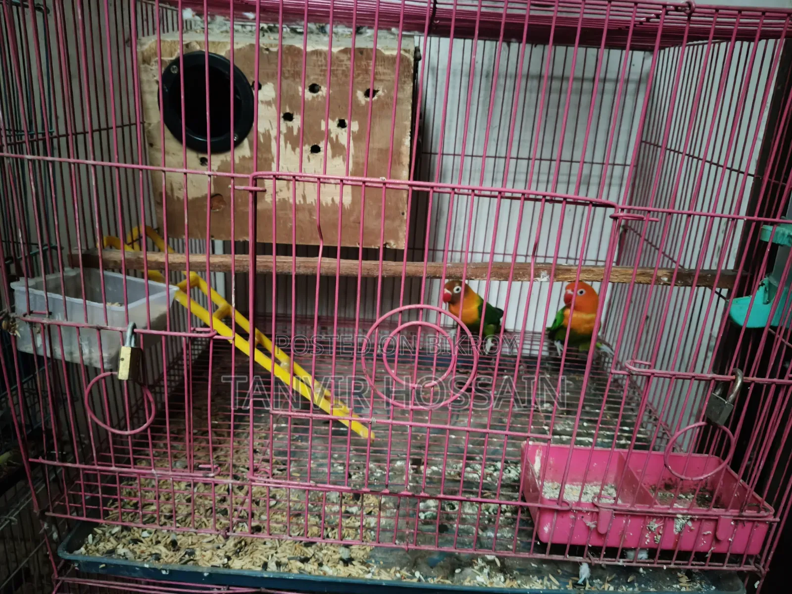 Love Bird বিক্রয়