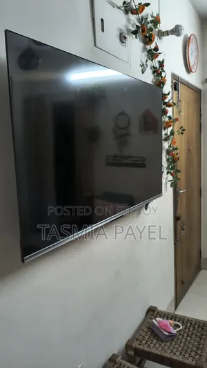 টেলিভিশন