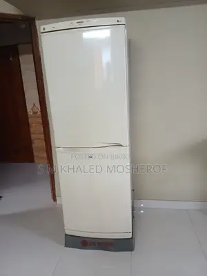 এলজি ২৬৪ লিটার নো ফ্রস্ট ফ্রি রেফ্রিজারেটর