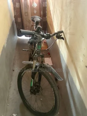 Bicycle None Gear