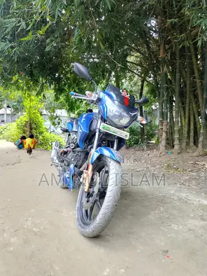 TVS Apache RTR 160 2V 2017 Blue