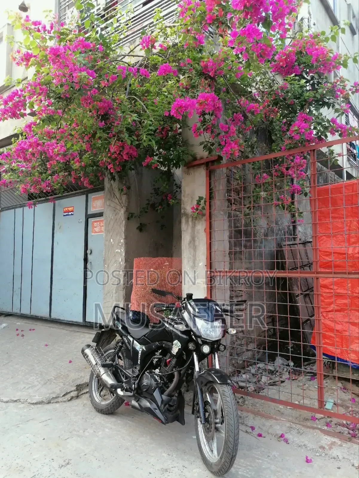 নিউ হিরো হাঙ্ক ২০১০ ব্ল্যাক