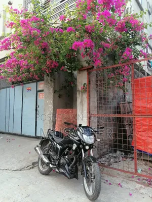 নিউ হিরো হাঙ্ক ২০১০ ব্ল্যাক