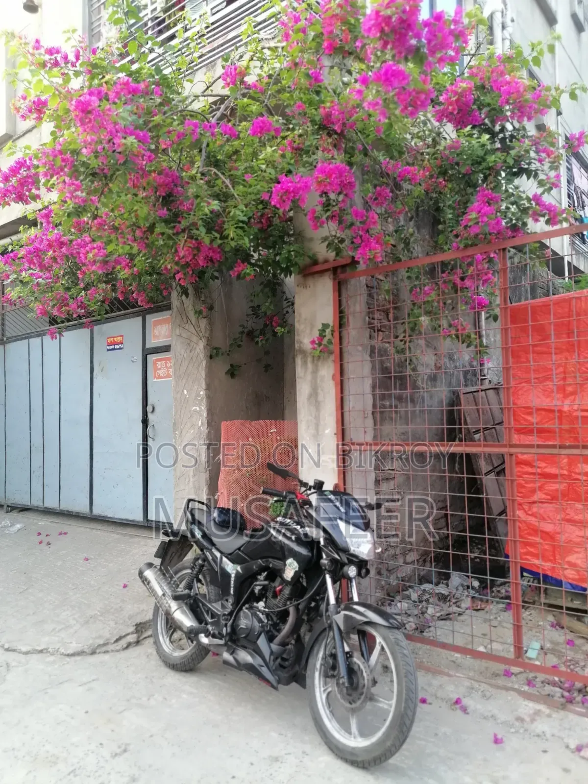 নিউ হিরো হাঙ্ক ২০১০ ব্ল্যাক