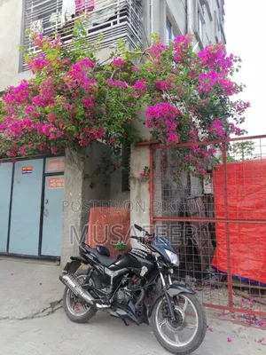 নিউ হিরো হাঙ্ক ২০১০ ব্ল্যাক