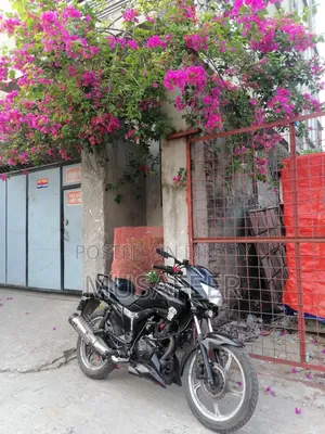 নিউ হিরো হাঙ্ক ২০১০ ব্ল্যাক