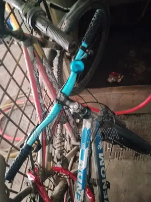 Phoenix Cycle