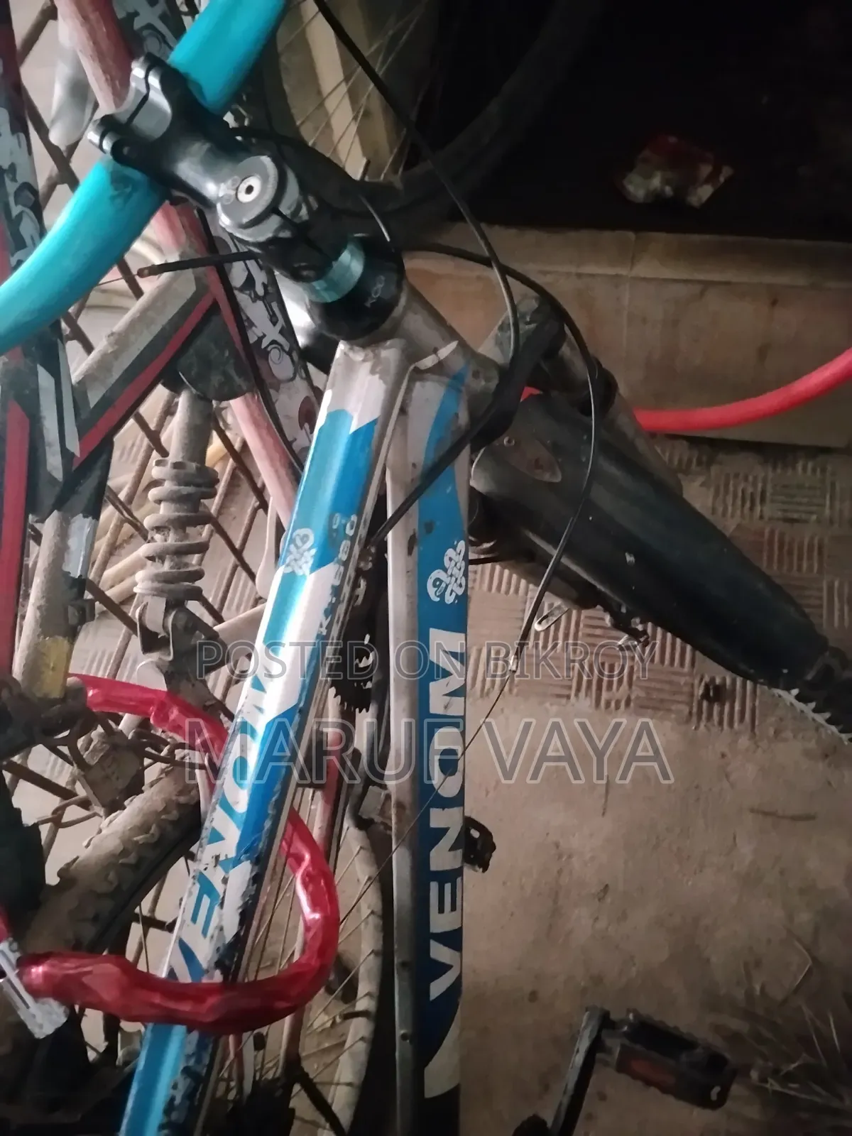 Phoenix Cycle