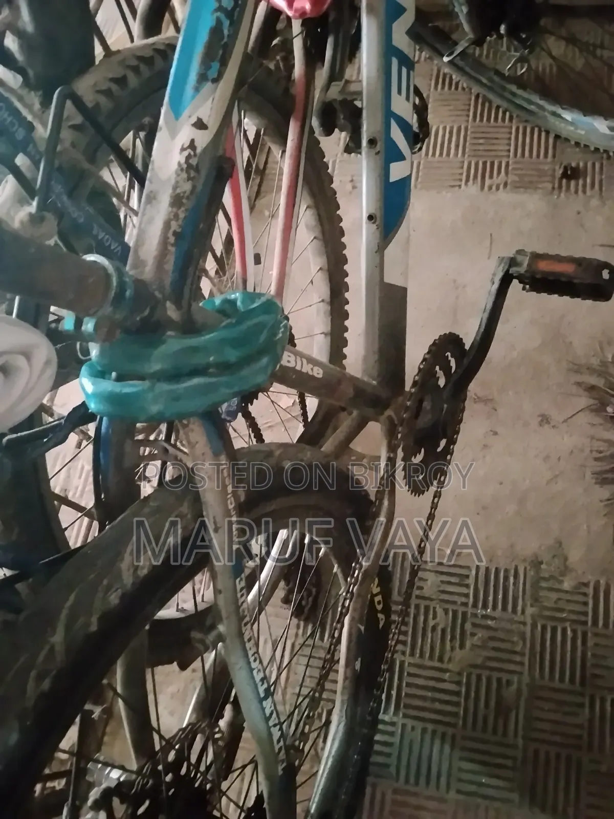 Phoenix Cycle