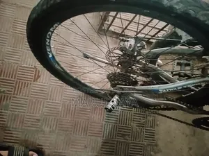 Phoenix Cycle