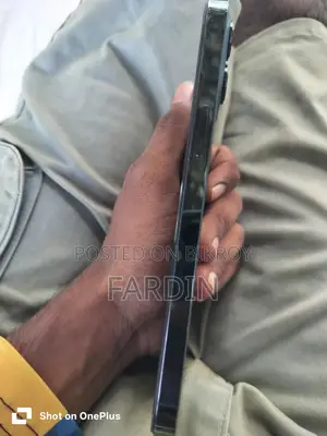 Apple iPhone 12 Pro Max 256 GB Blue