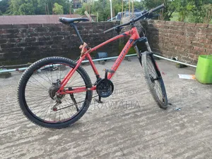 সেভেন্টি ওয়ান বাইসাইকেল