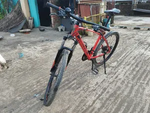 সেভেন্টি ওয়ান বাইসাইকেল