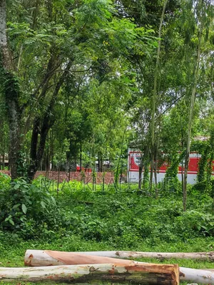 26 Decimal Land for Sale