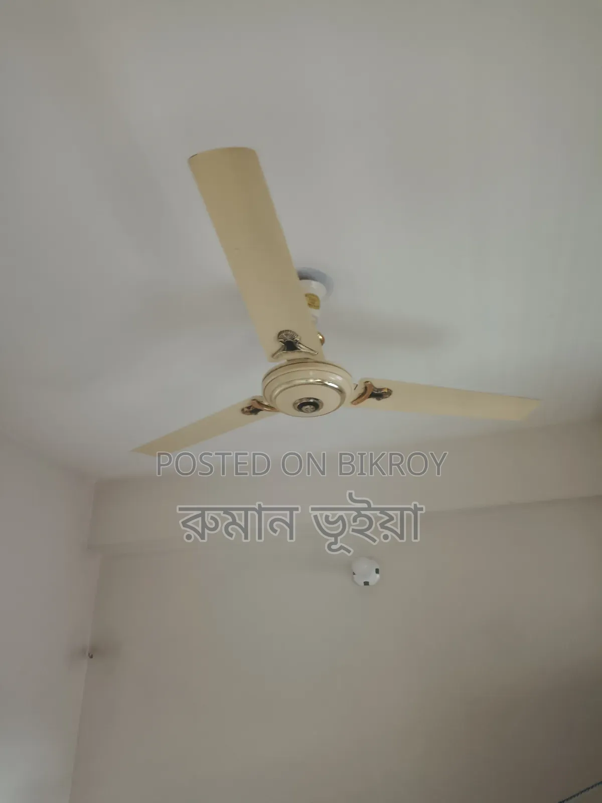 2 Ceiling Fans