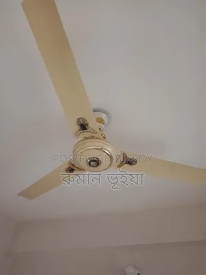 2 Ceiling Fans