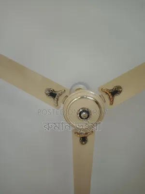 2 Ceiling Fans