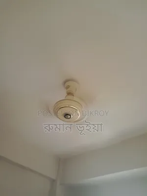 2 Ceiling Fans