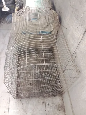 ২ টি পাখিরখাঁচা বিক্রি করা হবে 🩵