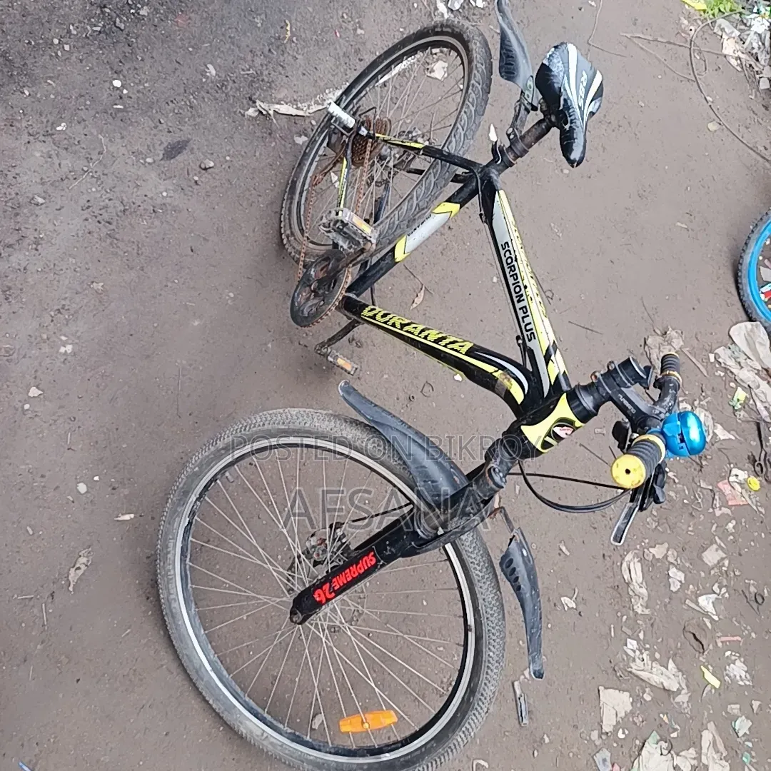 Gear Bicycle