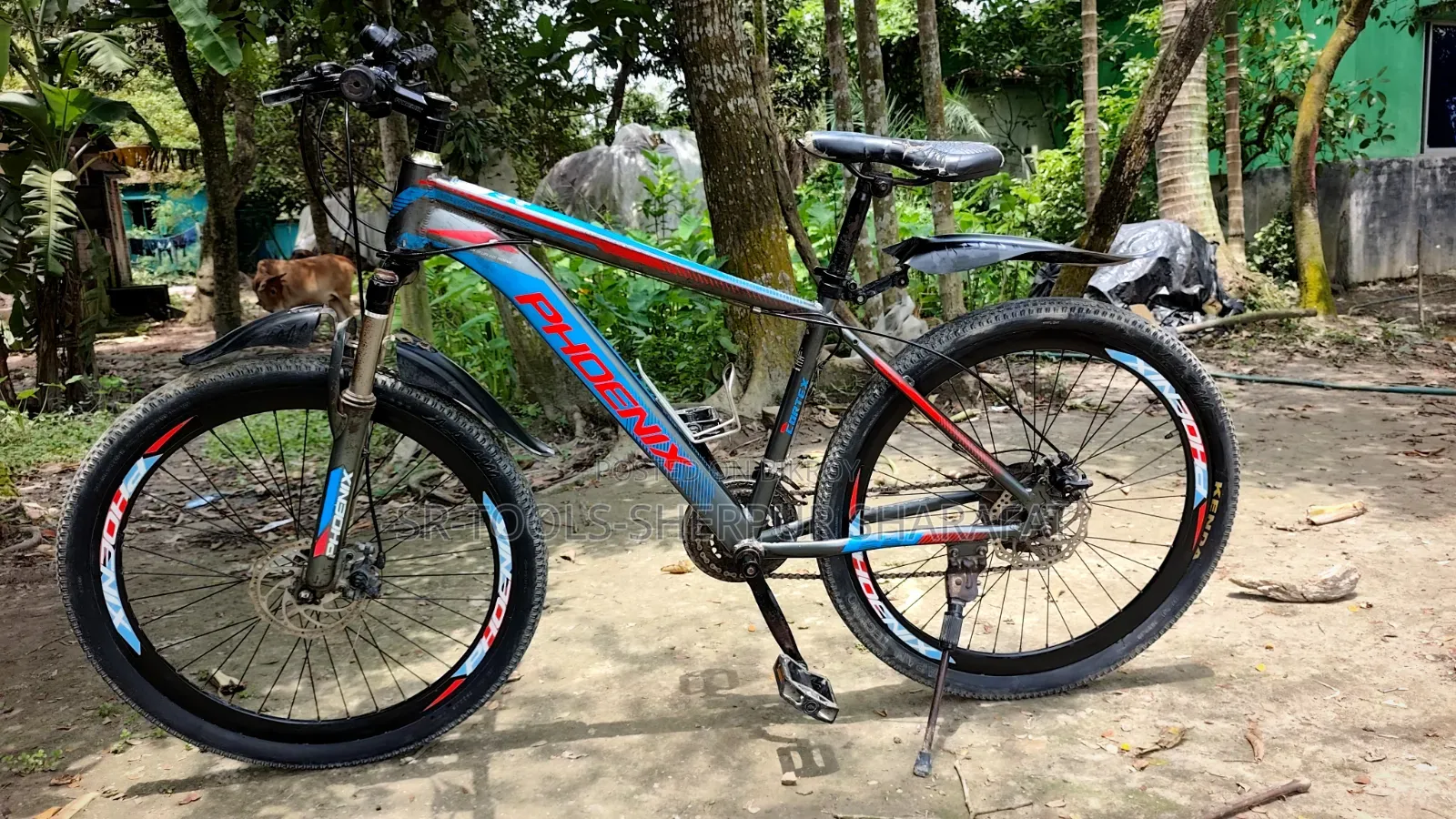 সাইকেল ফোনিক্স