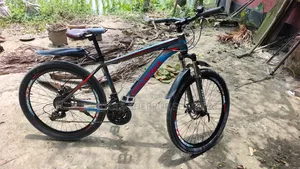 সাইকেল ফোনিক্স