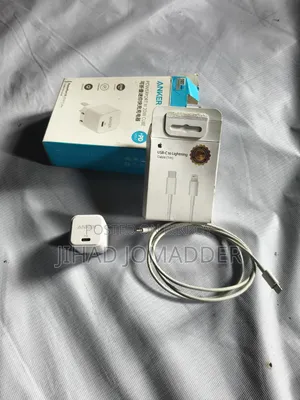 Apple Charger