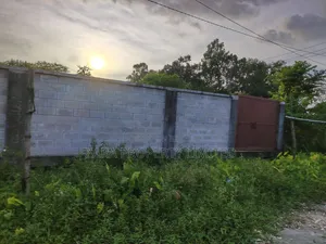 জরুরি ভিত্তি  ৫ কাঠা বিক্রি  ২৫ নং সেক্টরে