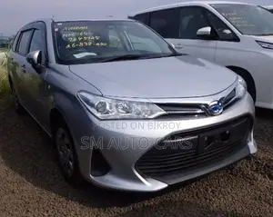 Toyota Corolla Fielder 2021 Silver