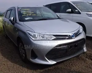 Toyota Corolla Fielder 2021 Silver