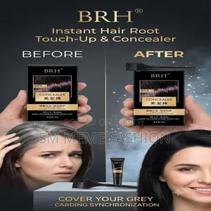 BRH Hair Color Concealer Stick for Gray Hair Coverage (20g)