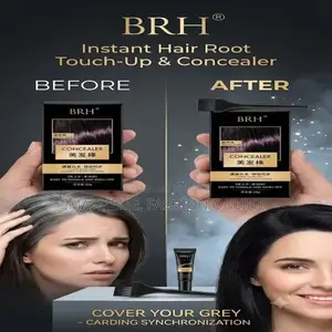BRH Hair Color Concealer Stick for Gray Hair Coverage (20g)