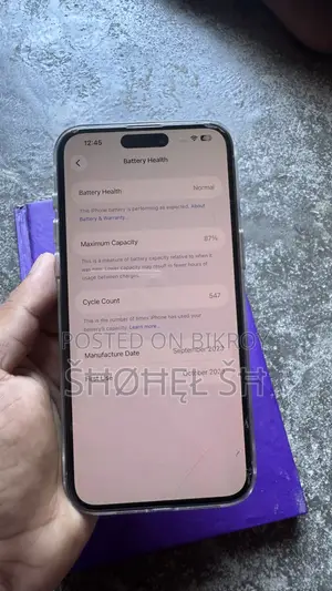 অ্যাপল আইফোন ১৫ প্রো ম্যাক্স ২৫৬ জিবি গ্রে