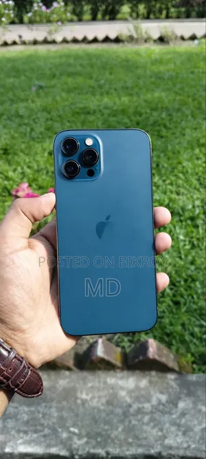 Apple iPhone 12 Pro Max 256 GB Blue
