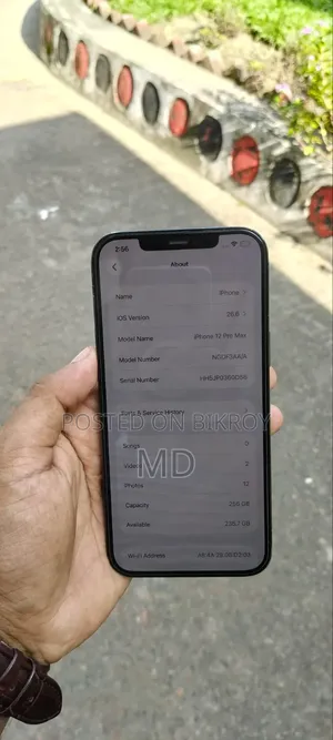 Apple iPhone 12 Pro Max 256 GB Blue
