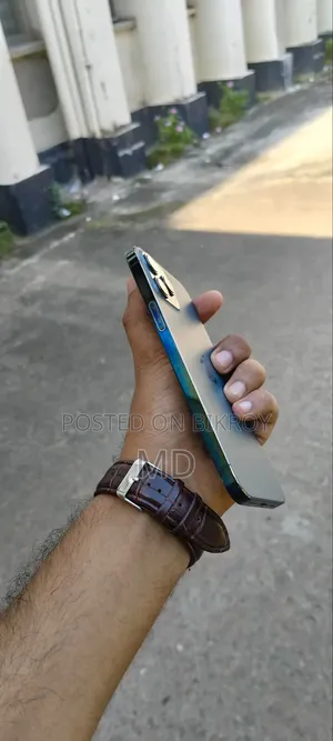 Apple iPhone 12 Pro Max 256 GB Blue