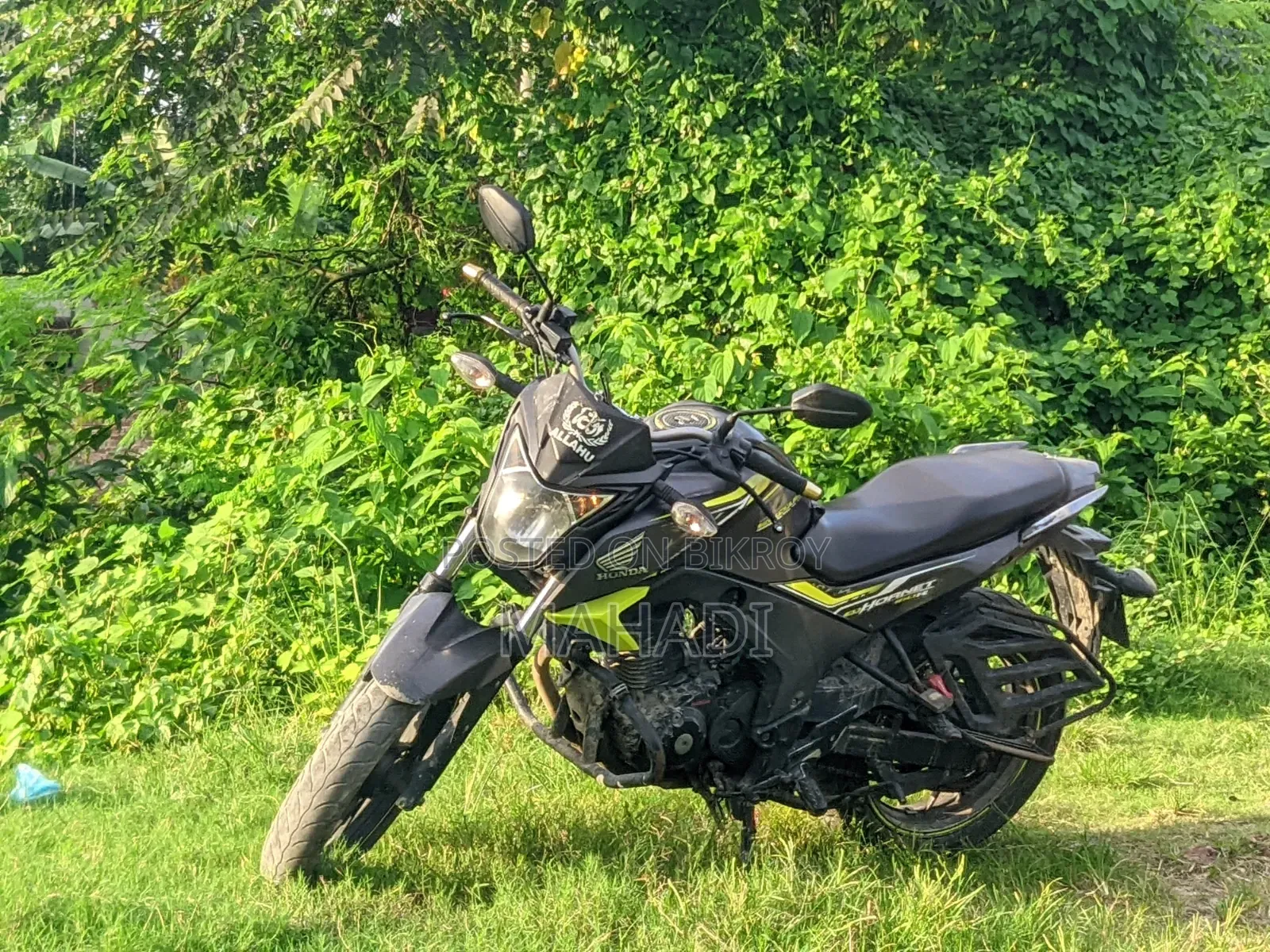 Honda Hornet 2018 Green