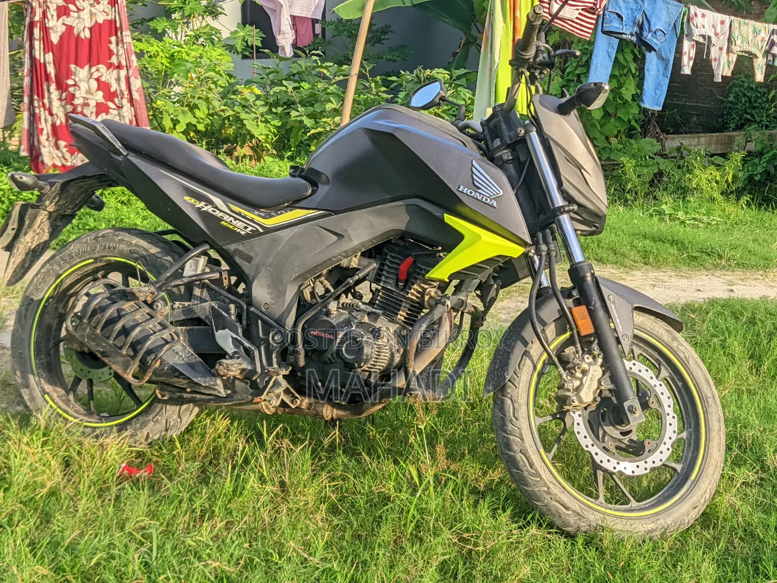 Honda Hornet 2018 Green