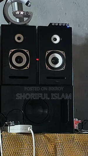 2:1 Professional Sound System