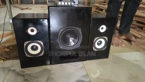 2:1 Professional Sound System