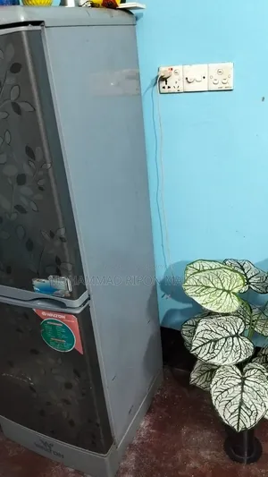 Fridge ফ্রিজ